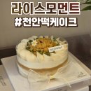 프리모먼트 | 천안떡케이크 라이스모먼트 솔직후기 :: 어버이날 선물 강추