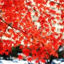 보문관광단지 이미지