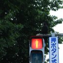 와우-보전간 | [일본 🇯🇵 | 삿포로] 삿뽀로로 여행기 (1편)