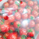 토마토치과의원 이미지