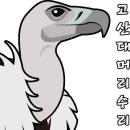 숲속에하루민박 이미지
