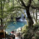 원앙목장 이미지