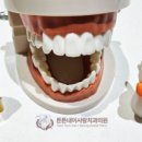 튼튼내이사랑치과의원 이미지