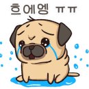 미용실의이선생