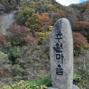 추원모차골 이미지