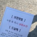홍시먹으러곶감 | [완주 카페] 홍시먹으러곶감 솔직 후기