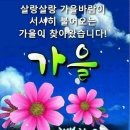 《인생초로(人生草露)》 이미지