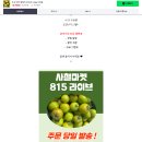 사철농장 | 대저 짭짤이토마토 추천 사철마켓 내돈내산 솔직후기 가격 맛 후숙