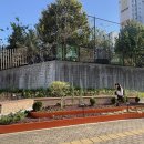 포산초등학교 이미지