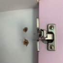 피스건축디자인 이미지