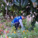 괴정1동-10 이미지