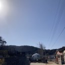 펫트리 | NOL 충주 애견 글램핑 추천, 펫트리파크 다녀온 후기