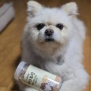 롱런하개 이미지