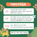 10주 우쿨렐레 완성 이미지