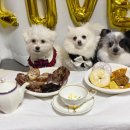 까까묵자 이미지