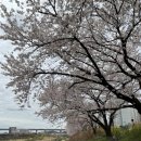 발안천 산책로 이미지