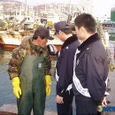 동해-단속-11 이미지