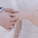 엘비라이프