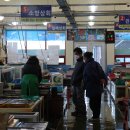 창선대교타운 관광안내소 이미지