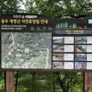 대성PC | 충주 여행 계명산 자연휴양림 예약 성공 가족호텔 솜다리 숙박 후기