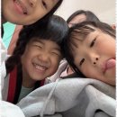 세종태권도장 이미지