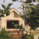 그리니제주 이미지