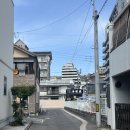 유안사랑사람들 여섯번째 사진전 | 마쓰야마 4일차-5일차(2025.03.14-2025.03.15)