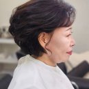 샬롬미