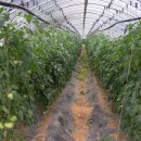 원풍농장 이미지