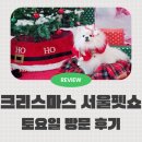 남부순환로328길1-5_ | 2025 크리스마스 서울펫쇼 토요일 오픈런 방문 후기 및 떼샷