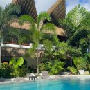 달팽이방갈로 이미지