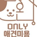 온니애견미용 이미지