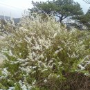 솔샘농장 이미지