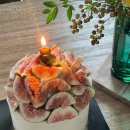 옥천 | 옥천 감성독채숙소 이연재 후기 (내돈내산)