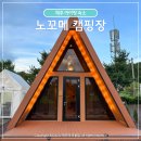 경마루 스테이 | 제주도 아이랑 글램핑 제주 노꼬메 캠핑장 펜션 오름스테이 수영장