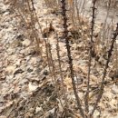 새봄농장(2) 이미지