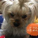 (주)식스팩토리