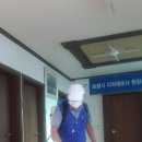 대천경로당 Daum카페