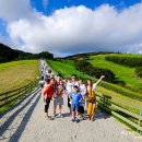 풀내음목장 이미지