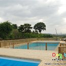 도그베이 이미지