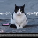 모아광고 - 김포시 황금로 117 | 모아광고