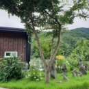 휴밸리스토리 이미지