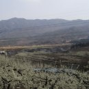 고향풍경 이미지