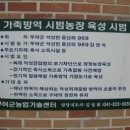 증산한우농장 이미지