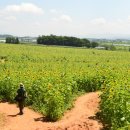 공음농장 이미지