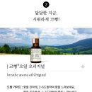 꿀아로마 이미지