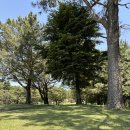 중문골프클럽(대중형 18홀) | 가고시마 골프 사쿠라지마뷰 못보면 손해, 지금 18홀 2곳 여기 추천!