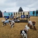 이리유치원 이미지