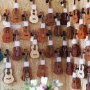 톡톡 우쿨렐레 이미지