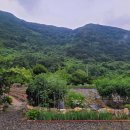 월악산황토펜션 이미지